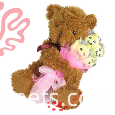 weicher brauner Bär soft brown bear